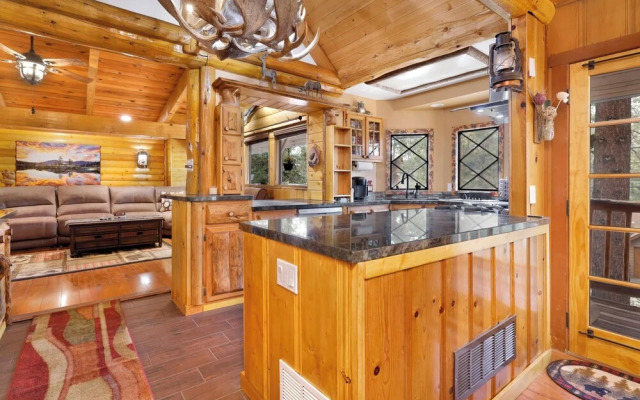 Polar Plunge BIG Bear #2031