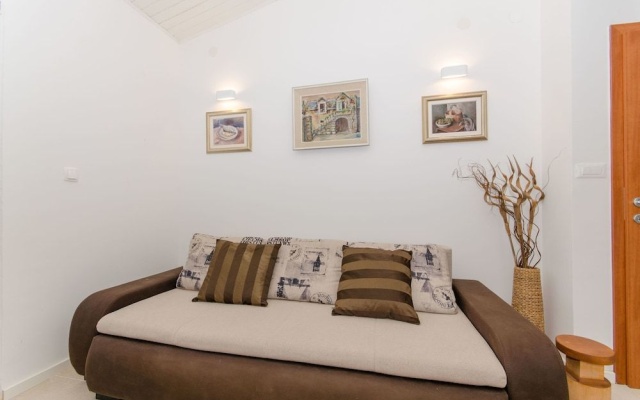 House Anima