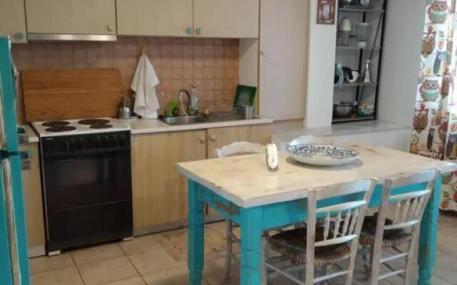 Christin P House with a large yard and parking