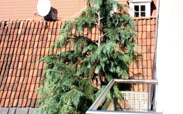 Stay in Riga Old Town