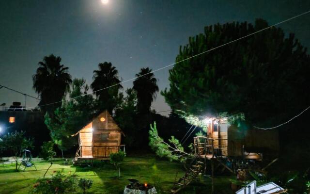 Ionian Treehouse Ecohosting Cuckoo's nest