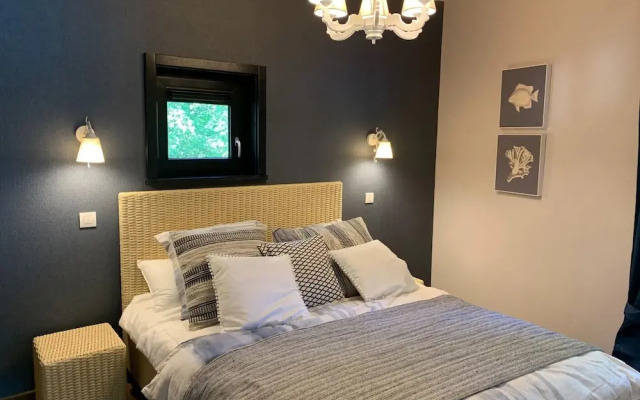 Elegant Mansion With Pools