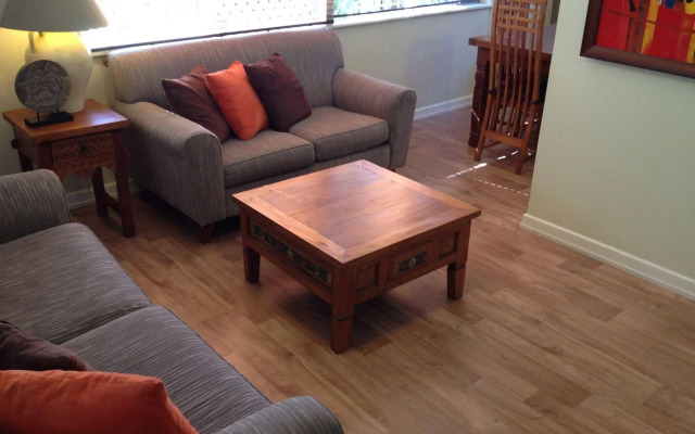 Coconut Palms on the Bay