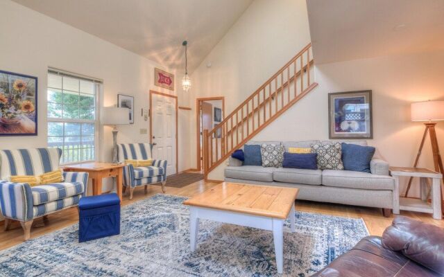 Avas Sunny Delight (MCA 682)