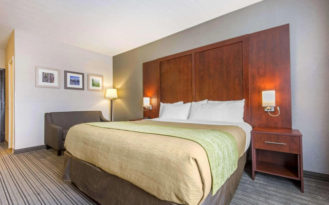 Holiday Inn Express Hotel andamp; Suites Collingwo