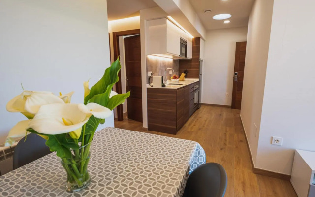 Apartamentos Mirador de Vidío