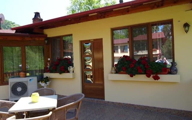Pension Cuibul Viselor