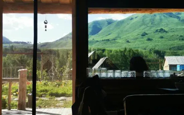 Hemu Dome Inn