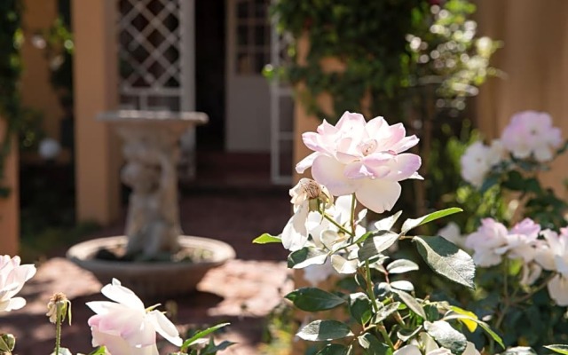 Roses And Pebbles B & B Guest House