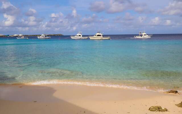 Divi Flamingo Beach Resort & Casino