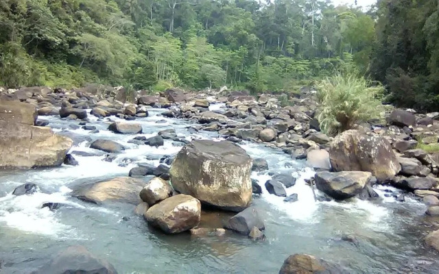 Sinharaja Rainforest View Villas