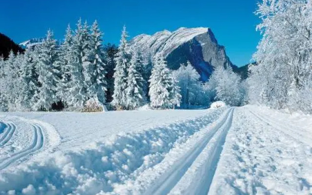 Hirschen Wohlfühlhotel