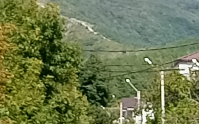 On the Collective 11