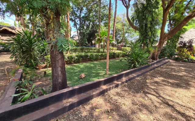 Honey Badger Lodge