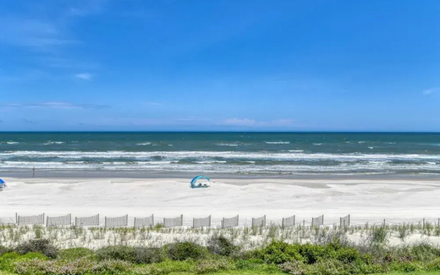Sand Dollar 306