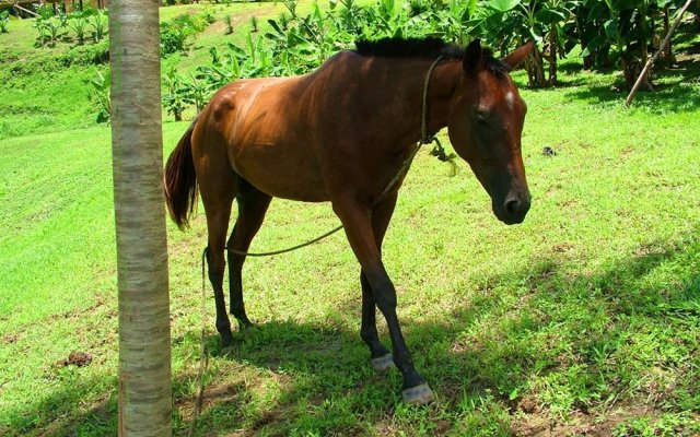 Dream Valley Belize