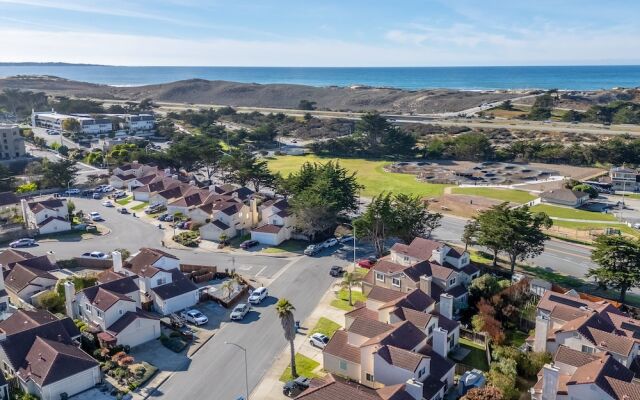 Succulents & Seashells Coastal Paradise by Beach