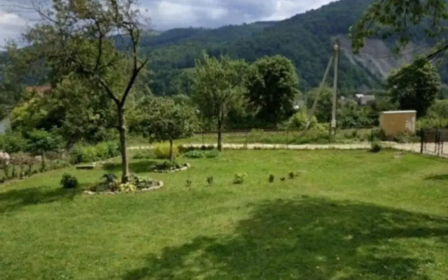 V Ulyanu