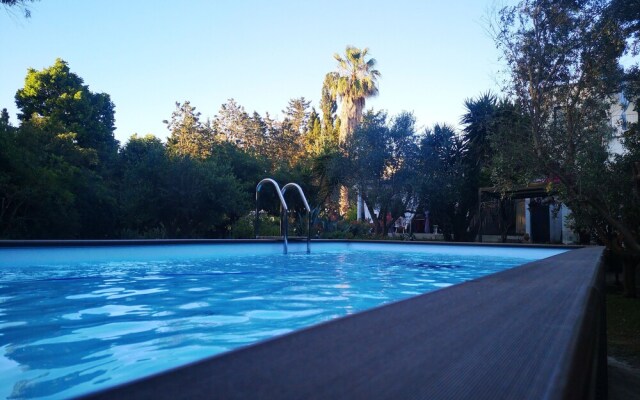 Villa Olivia