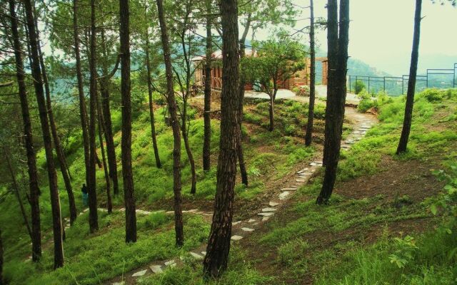 Aamod Resort - Shoghi