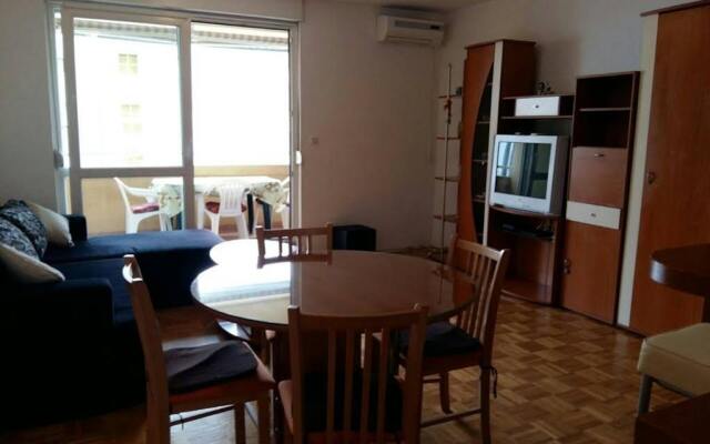 Apartment Svejk