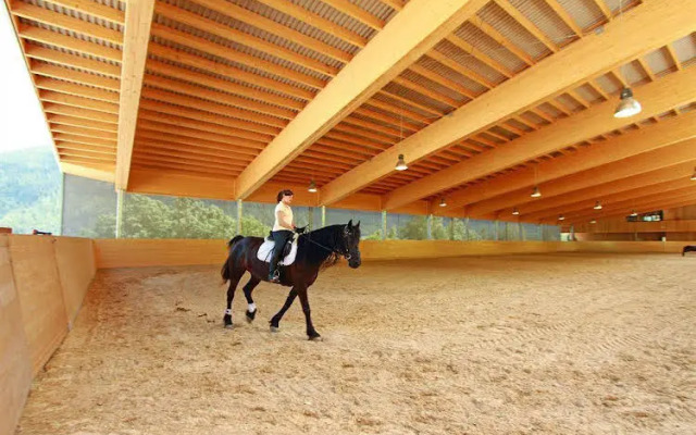 Hotel Atzinger - Family Resort Stubai