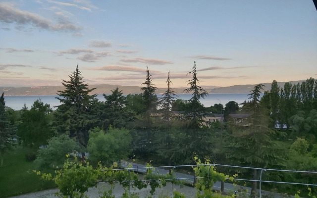 View Topia Apartments