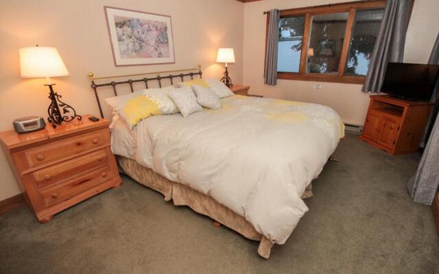 Mountainback #59 dog friendly