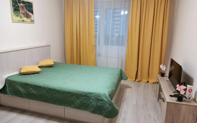 Apartment on Alexander Pushkin Street 1