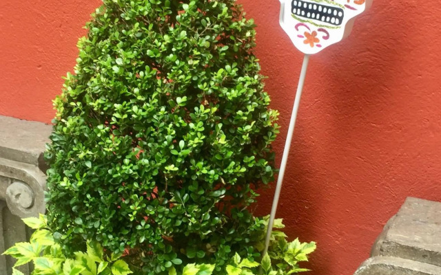 Residence Las Trojes Cdmx