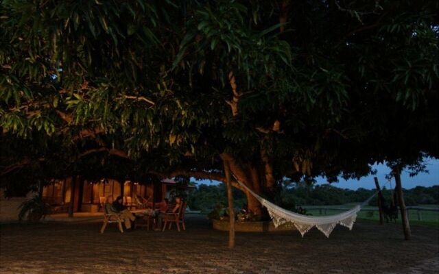 Fazenda Barranco Alto