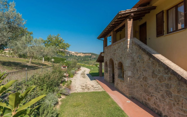 The Grapevine by MANVI