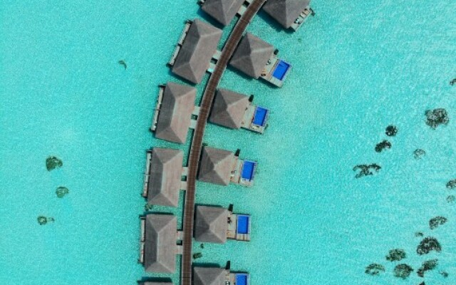 Cocoon Maldives - All Inclusive