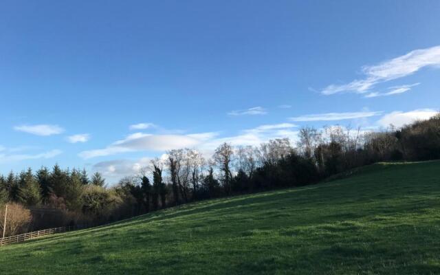 Forest View - Castlewellan