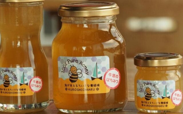 Pension KUROSHIOMARU