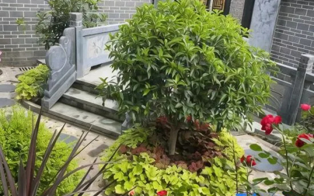 No. 9 Courtyard Homestay (Qimen HSR South Station)