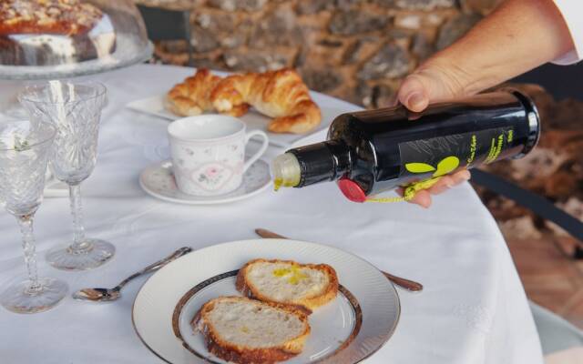 Masia Can Viver - Olive oil tourism B&B