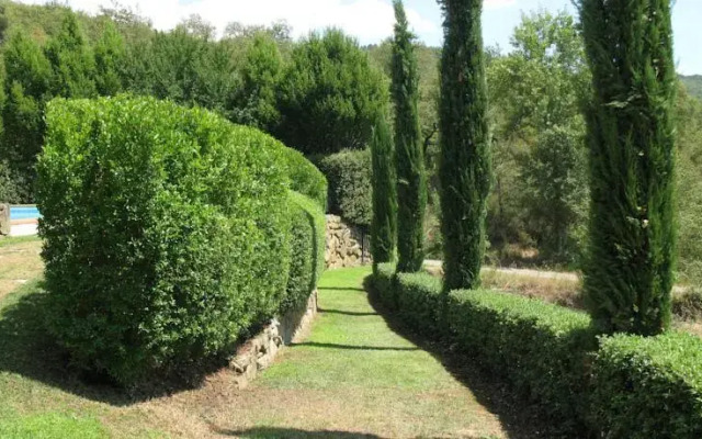 Agriturismo Podere Asciana di Alfiero Branchi