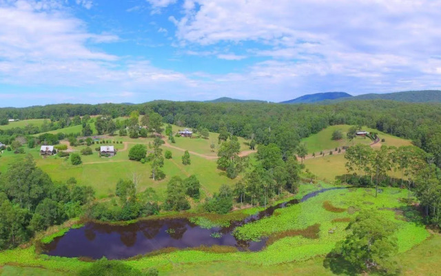 Clarendon Forest Retreat