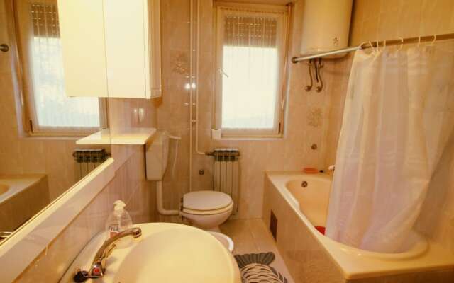 House Vlada