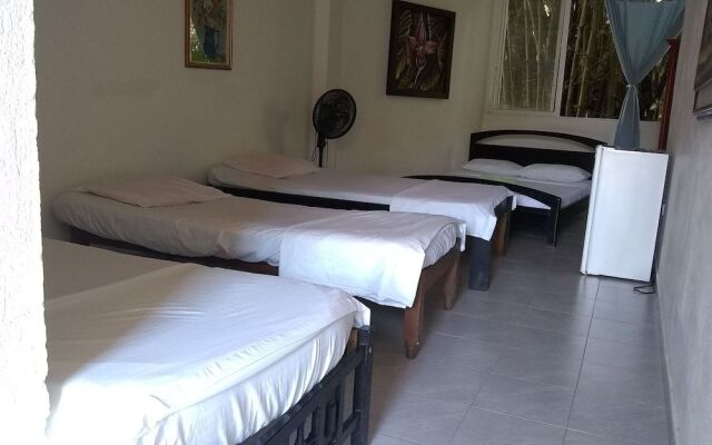 Hostal Eco Point Minca - Hostel