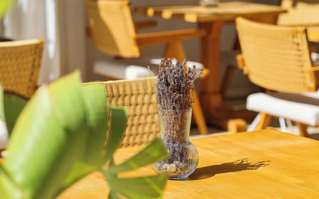 Voger Alacatı Koyici