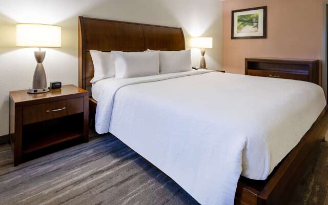 Hilton Garden Inn Roanoke