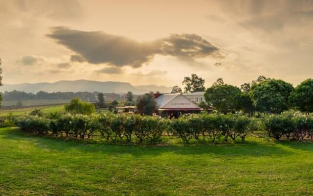 Hanging Tree Wines