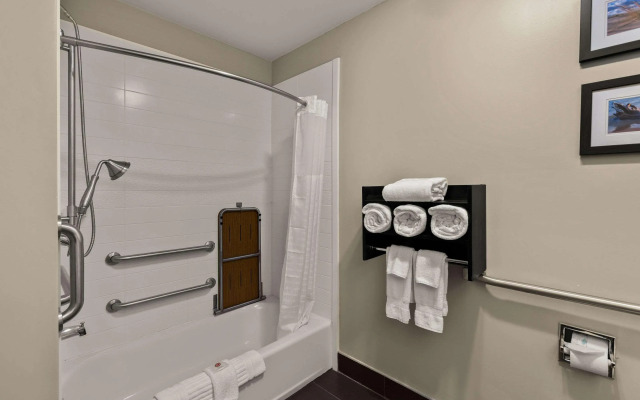 Comfort Inn Ludington near US-10