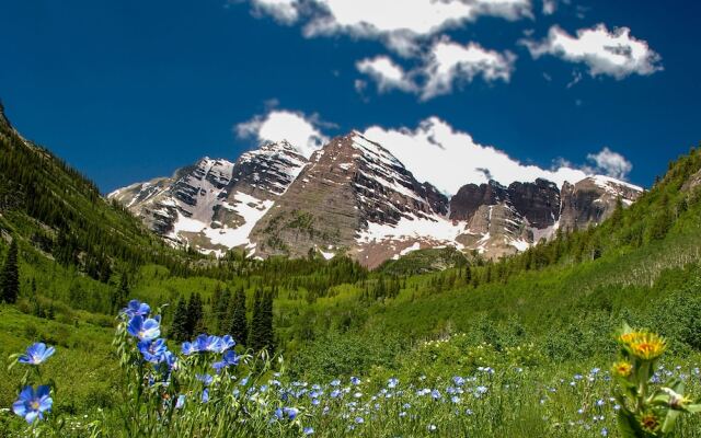 150 Carriage Condo by RedAwning