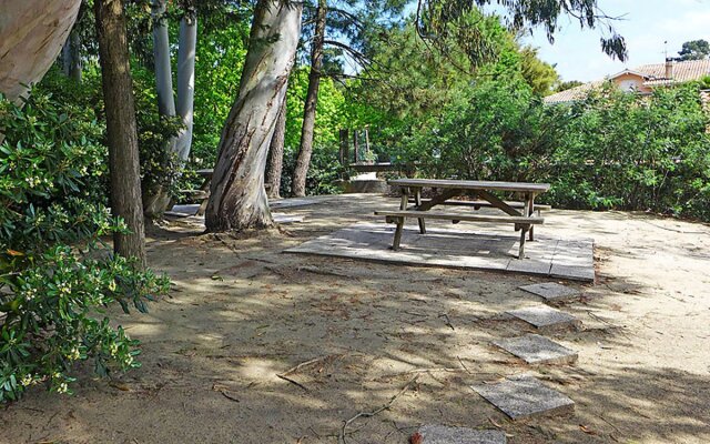 Paradise OciÂ©an 31147