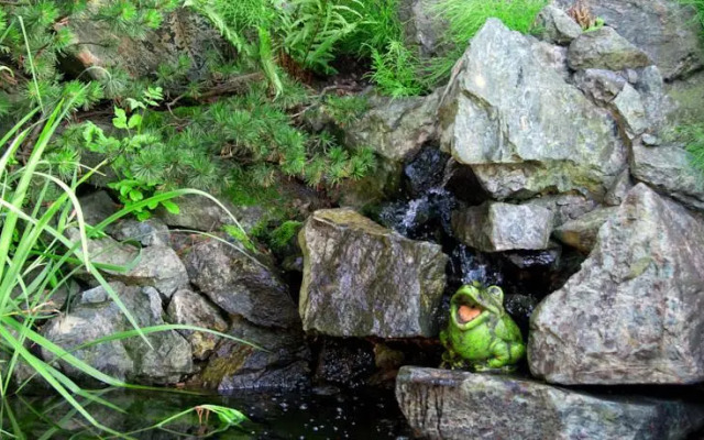 Pensjonat Źródełko