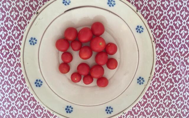 Case Vacanze 'Riccio E Salvia' a S. M. di Leuca