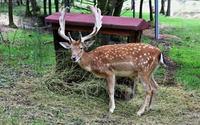 Snow Hill House Apart Otel